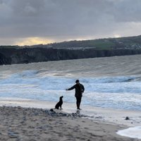 Beach with dog