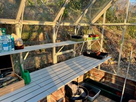 Greenhouse spring clean
